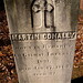 Martin Dougherty Photo 20
