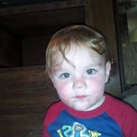Andy Cline Photo 6