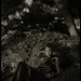 Alice Higginbotham Photo 9