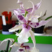 Ruth Carpenter Photo 32