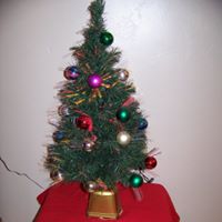 Denice Lester Photo 12