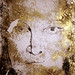 William Shapiro Photo 27