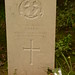 Alice Parr Photo 7