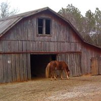Jeanne Potts Photo 13