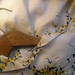Marguerite Sutton Photo 11