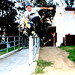 Nelson Brooks Photo 27
