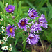 Anne Robbins Photo 15
