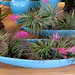 Nancy Grubb Photo 9