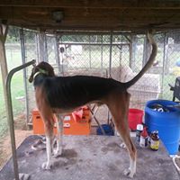 Jamie Spaulding Photo 19