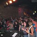 Mark Springfield Photo 9