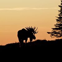 Earnest Thacker Photo 2
