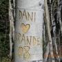 Danielle Downey Photo 28