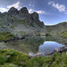 Robert Rando Photo 13