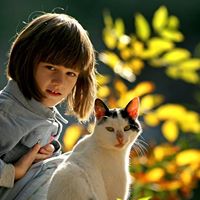 Feng Yang Photo 21