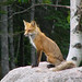 Patty Hoyt Photo 14