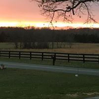 Terry Milam Photo 8