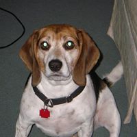Doug Roberson Photo 18