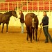 Mandy Harris Photo 19