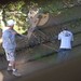 Tracey Schultz Photo 8