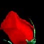 Shirley Welch Photo 29