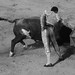 Rafael Cavazos Photo 8