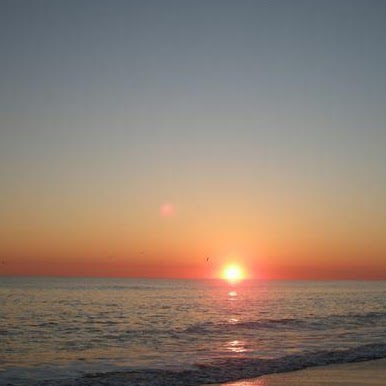 Ruth Pate Photo 18