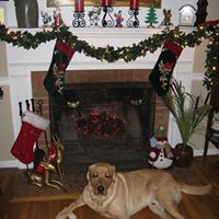 Brenda Layne Photo 6