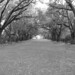 Jan Towne Photo 9
