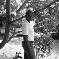 Jeanette Jarvis Photo 26