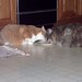 Patsy Simon Photo 10