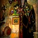 Donna Curio Photo 2