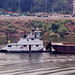 Shirley Barge Photo 9