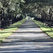 Nancy Deland Photo 6