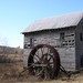 Virginia Roberson Photo 12