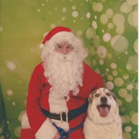 Lisa Mcintire Photo 14
