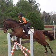 Susan Cooper Photo 9