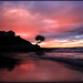 Michael Weed Photo 35