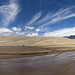 Sandy Ho Photo 15