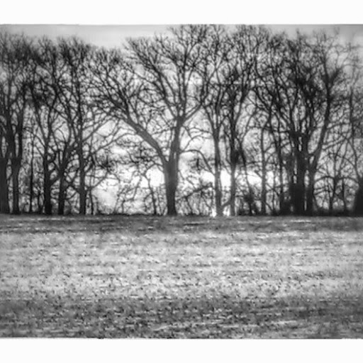 Charles Conklin Photo 10