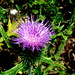 Sara Spikes Photo 8