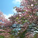 Tammy Branch Photo 15