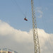 Becky Parr Photo 8