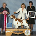 Penny Williamson Photo 27