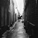 Thomas Lane Photo 49
