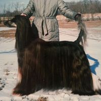 Carol Quigley Photo 13