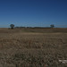 John Cheatham Photo 8
