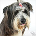 Sherry Cline Photo 28