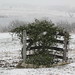 Cynthia Hutto Photo 15
