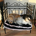 Gerry Fitzgerald Photo 11