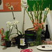 Jeannie Kim Photo 20